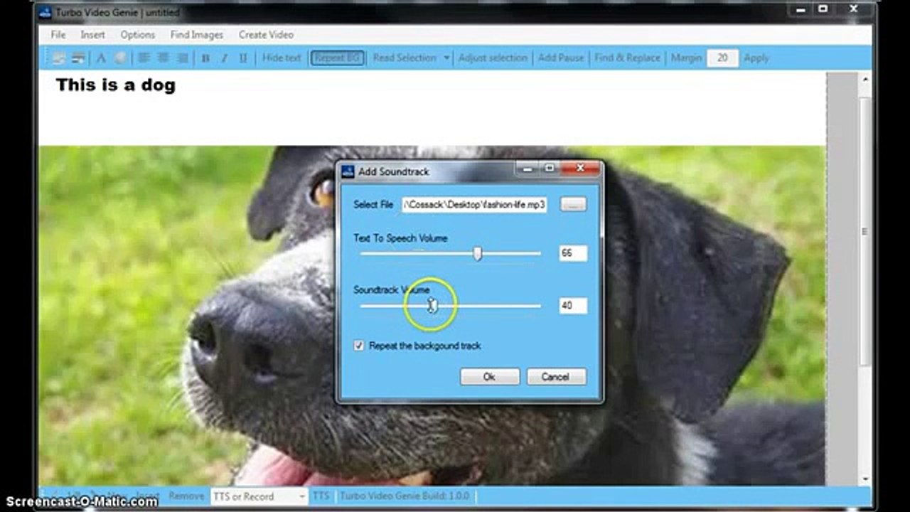 Turbo Video Genie Easy Video Creator