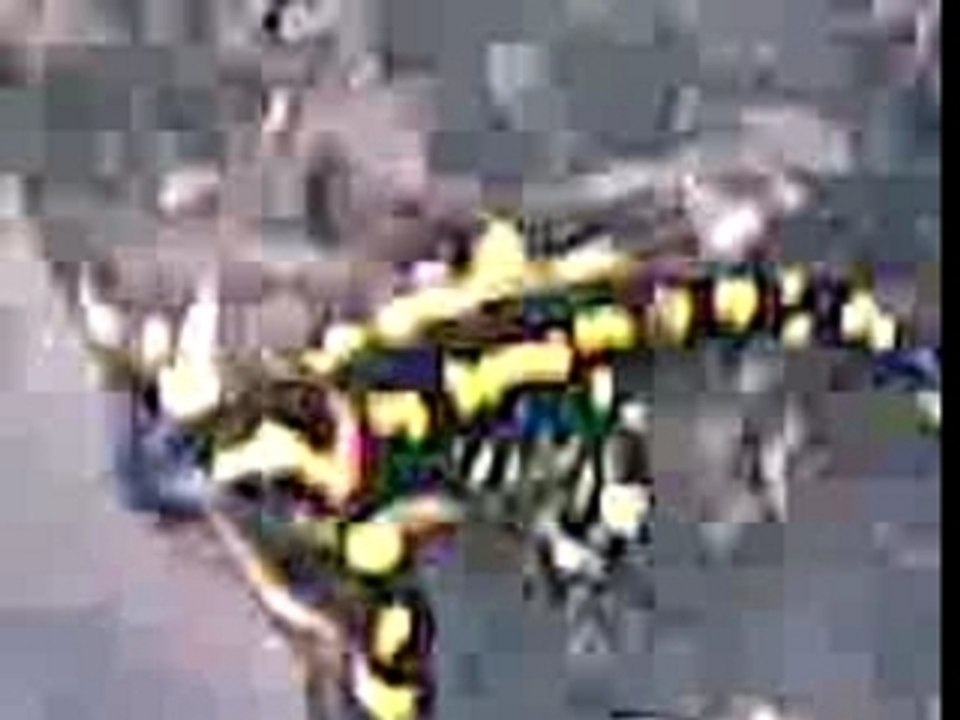 la Salamandre