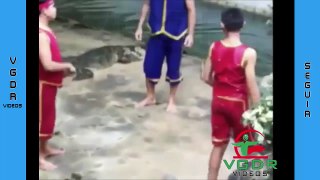 Compilation of the best falls and Funny Videos To die laughing - part 13