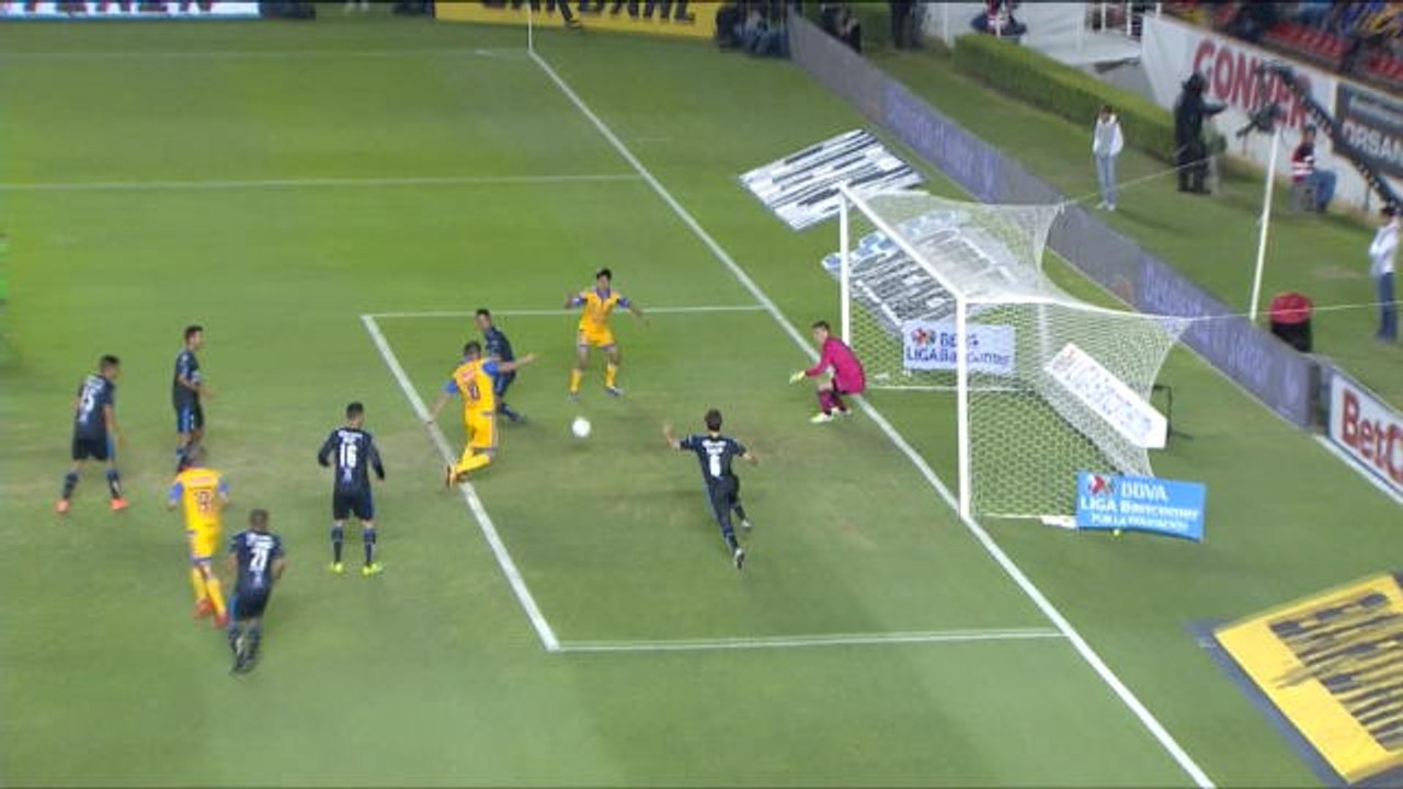 Mexique - Gignac en renard des surfaces