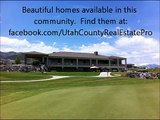 Talons Cove-Utah County Real Estate Pro
