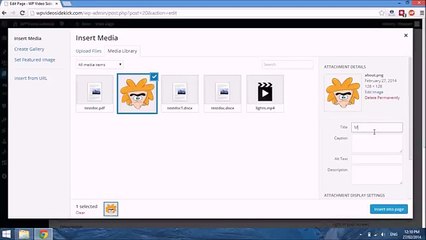 WP Video Sidekick 10