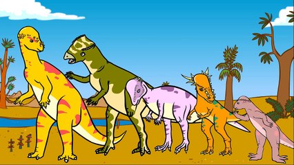 Les Pachycéphalosaures - La vie des dinosaures - Dessin animé éducatif