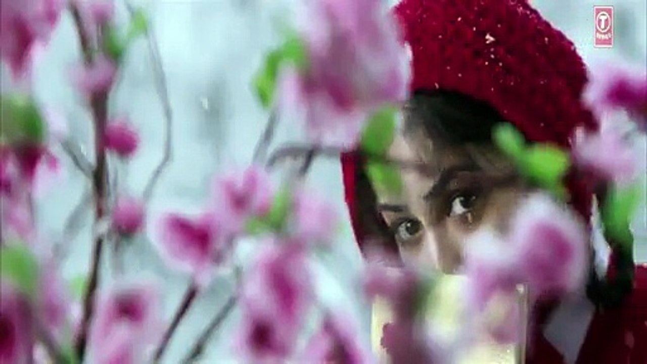 Sanam Re Full Movie Song