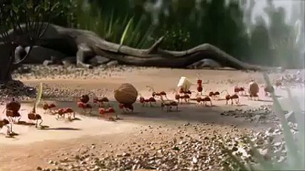 love and unity is very strong, when you stay together no body breaks your team work