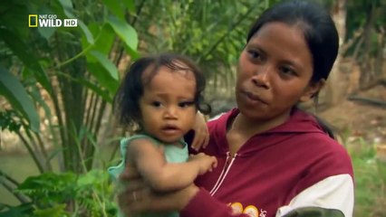 Monster Crocodile Hunt Nat Geo WILD Video June 2016