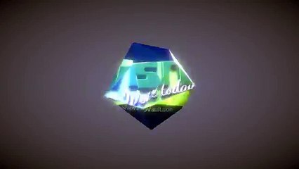 Viddyoze Bonus: Crystal logo Stinger With Custom Graphic