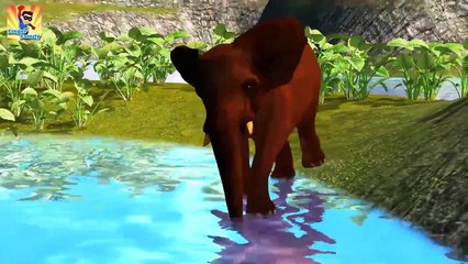 Finger Family Rhymes Crocodile Lion Dinosaurs Cartoons   Children Cartoon Nursery Rhymes 3 097848310