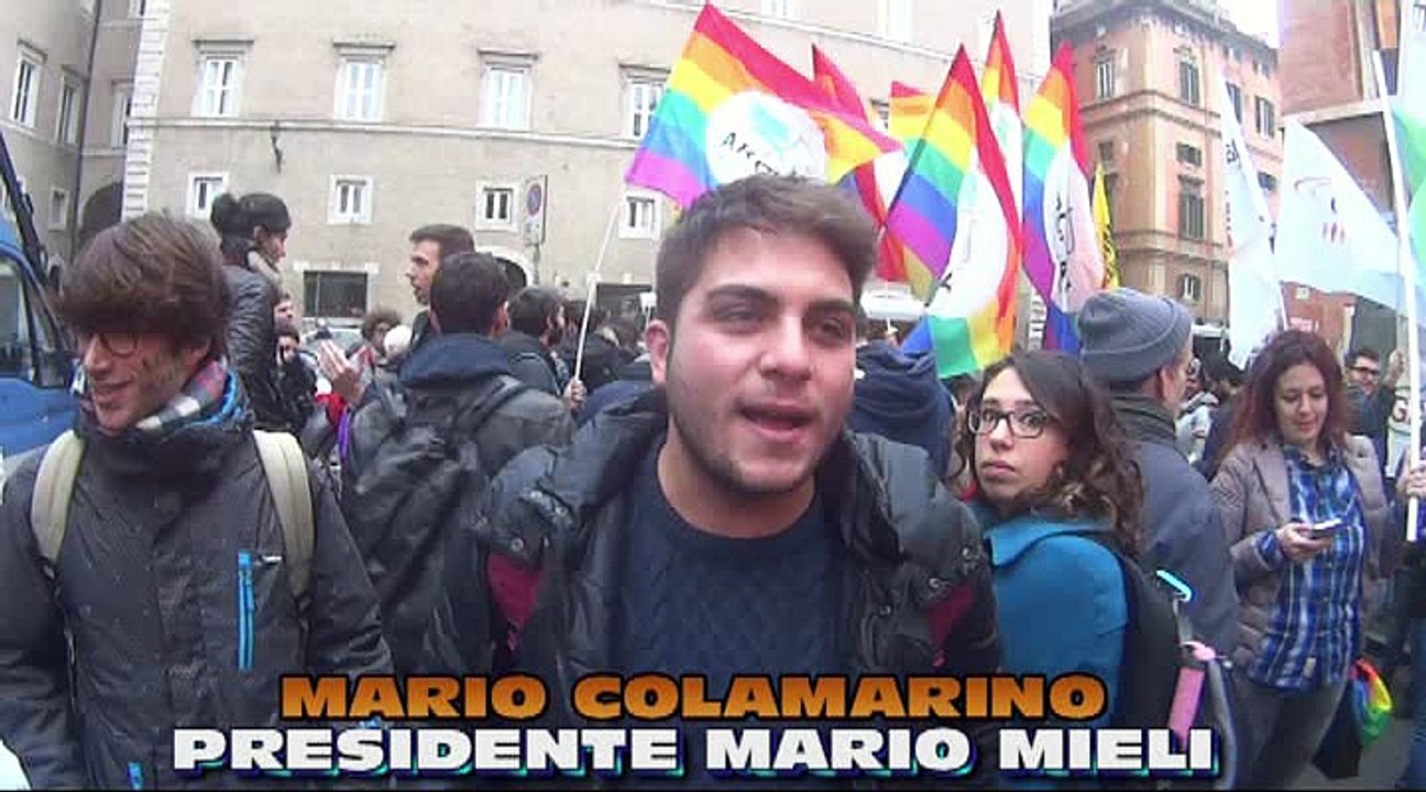 PRESIDIO AL SENATO - 02-02-2016