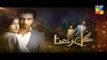 Gul E Rana Episode 17 Promo Hum TV Drama 20 Feb 2016