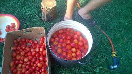Маринованные помидоры на зиму