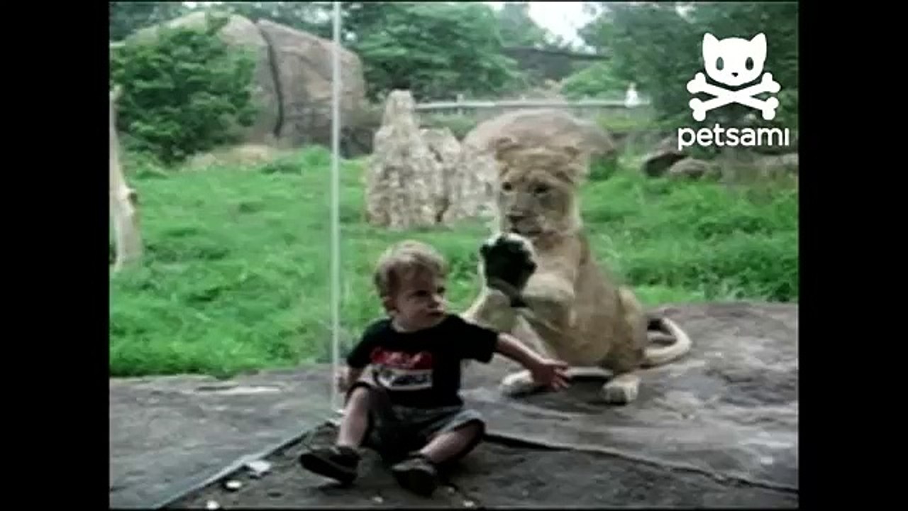 Toddler and baby lion become besties