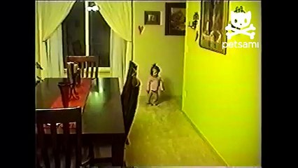 Toddler gets attacked by her cat