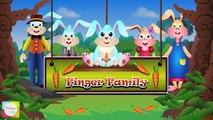 Rabbit (Bunny) Finger Family  Nursery Rhymes For Children