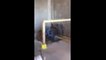 Modernisation Ascenseur - Elevator - Vidéo du Net - Chute de Treuil