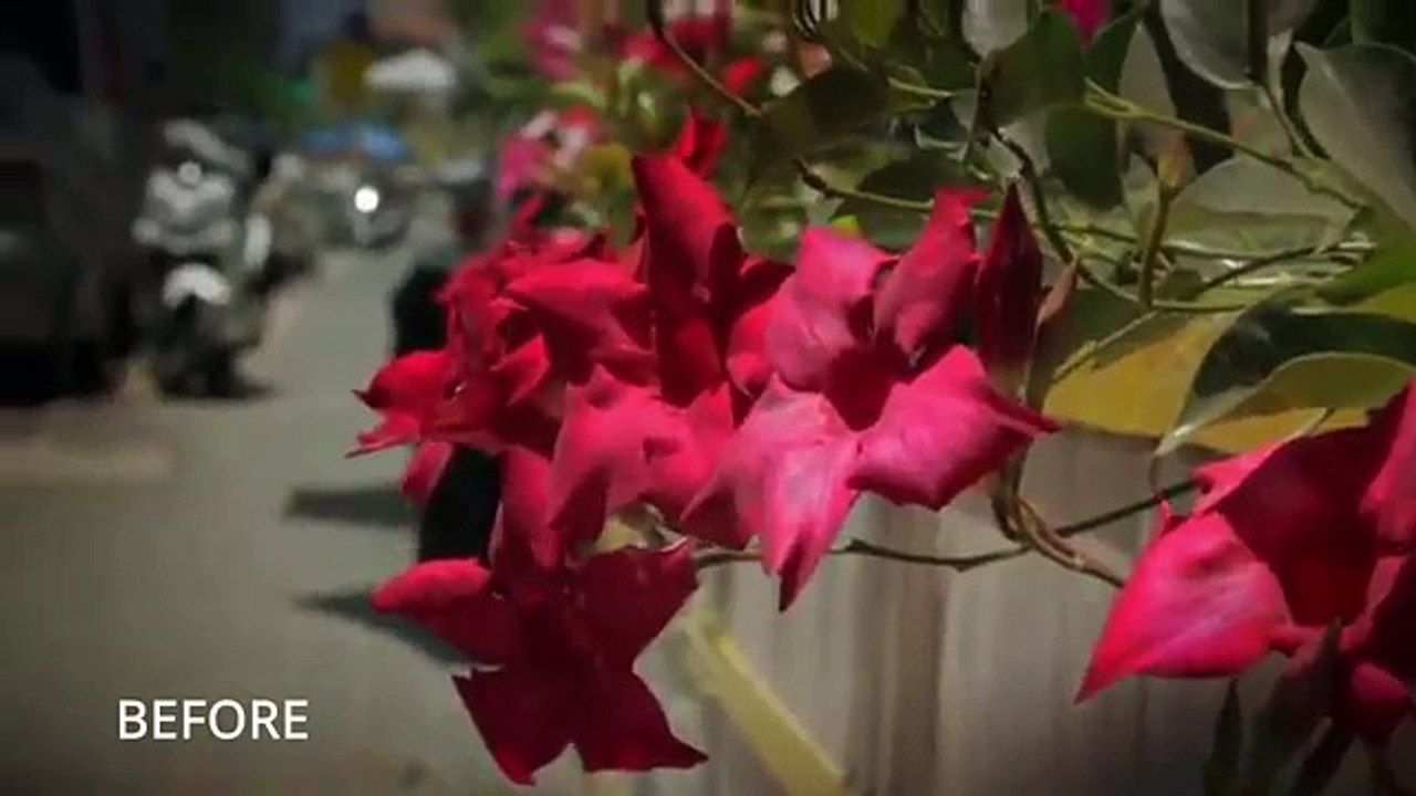 Explaindio Video FX Review| Explaindio Video FX Reviews| Explaindio Video FX Demo