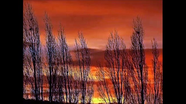 عَـابِرُ سَبِيل