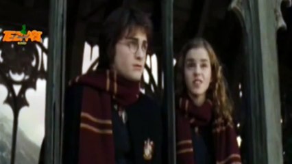 valentine's day Harry Potter Tezabi Totay 2015