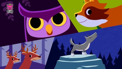 밤이 좋아 | 동물동요 | 핑크퐁! 인기동요