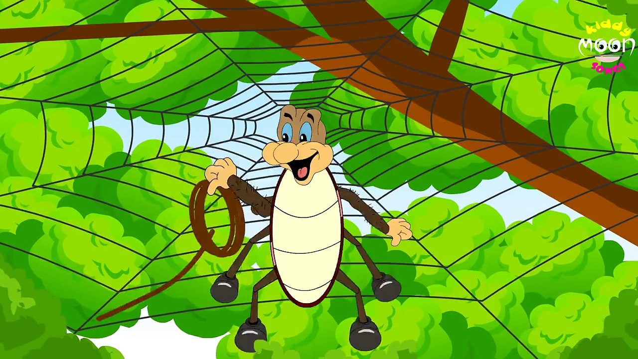 Incy Wincy Spider