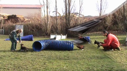 16-02-20 Ecole des chiots web