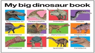 Read My Big Dinosaur Book Ebook pdf download