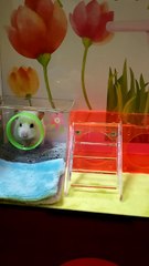 인천출장안마⧥ØlØ↔6821↔6058⧥인천출장⧥출장안마와꾸⧥논현출장안마⑦