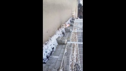 출장마사지후기∦ØIO↔6821↔6058∦출장마사지∦출장후기∦논현출장안마ᐰ