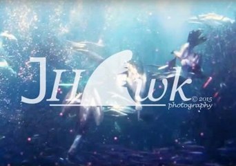 Incredible Footage of Annual Sardine Run