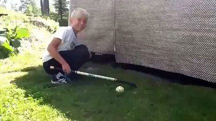 Невероятно прикольные кошки