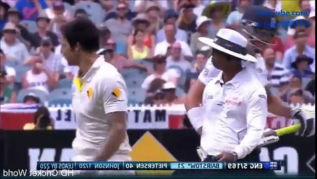 Biggest Fights in Cricket History Part 2 NEW