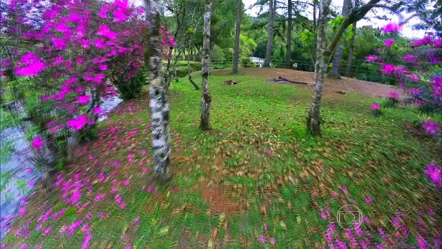 GLOBO REPÓRTER - Vale Europeu - 19-02-2016 Parte Única Online Completo Íntegra 19/02/2016 HD 720p