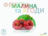 Вивчаємо овочі та фрукти Для малят на українській