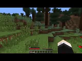 skm Minecraft  HUNTING MOD