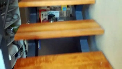 Смешные провинившиеся кошки. Подборка Топ 7