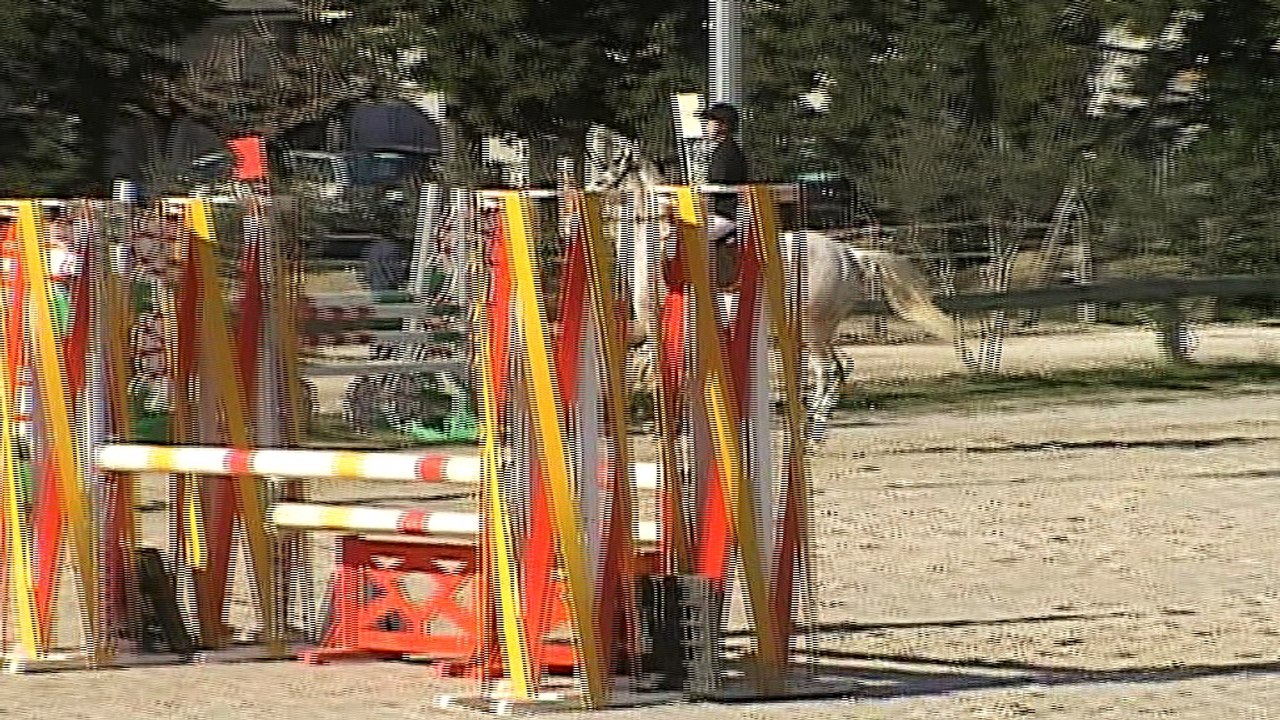 CSO St Paul le 19.02.2016 - prépa 95