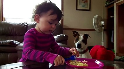 Cute Babies love Funny Dogs - Compilation 2016 - Cute Puppies & Babies (HD)(1)