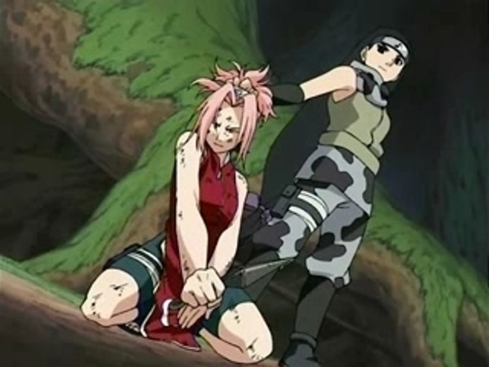 Sakura Fighter