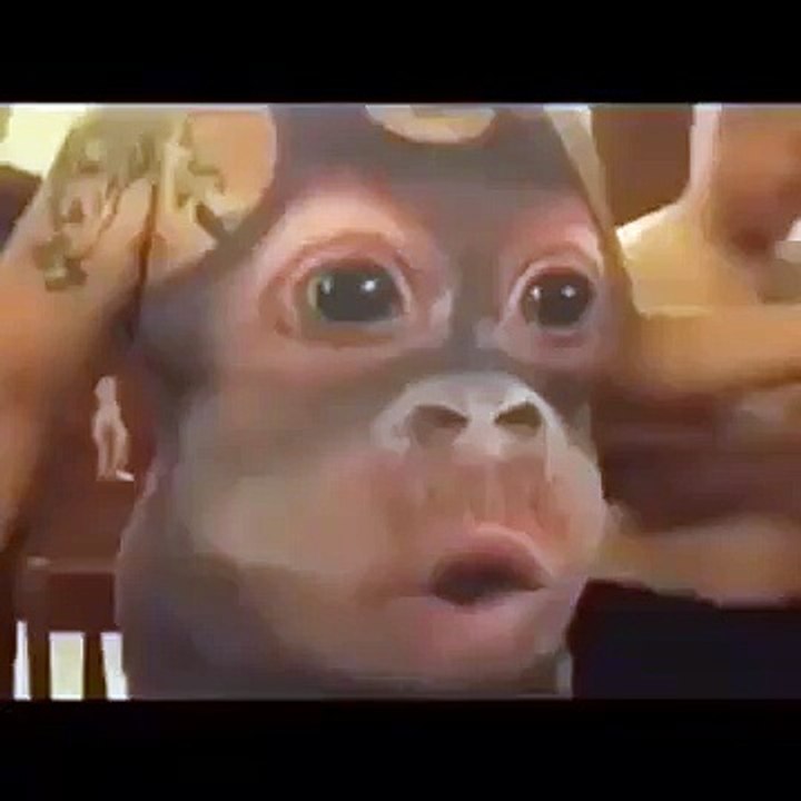 Monkey on body