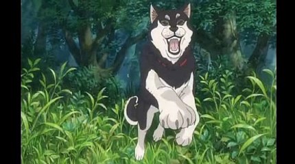 마이크로게이밍ぢ＼＼【KOP77。COM】＼＼ば바카라게임사설토토사이트추천