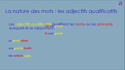 Les adjectifs qualificatifs