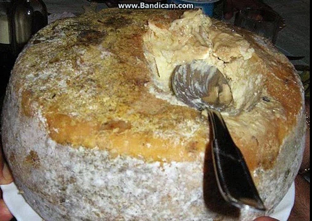 Касу марцу - итальянский сыр с живой начинкой