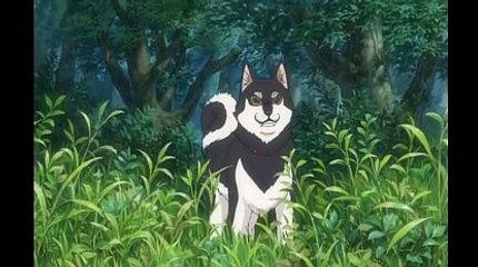 바카라카지노게임く＼＼【KOP77。COM】＼＼な12bet주소바카라추천사이트