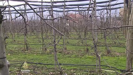 Bh. malinari uznemireni- Uzaludan trud i gubitak zemljišta