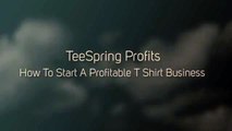 TeeSpring Profits