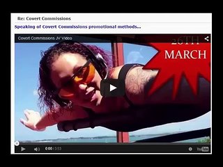 Covert Commissions - A Retrospective