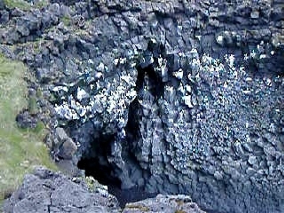 arnastapi