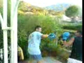 boxeeee emilien sisi