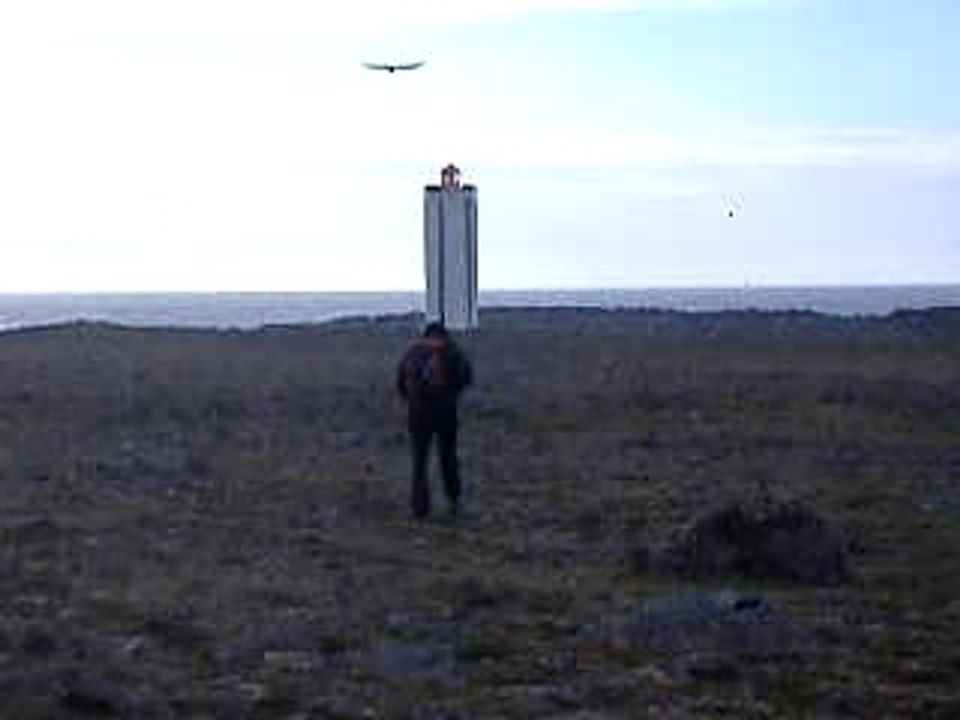 sternes