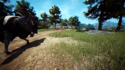 Black Desert CBT2 - Horse costume